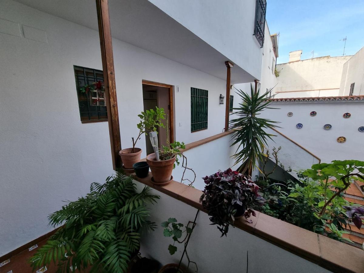 Apartamento Entre Patios San Basilio Lägenhet Córdoba Exteriör bild