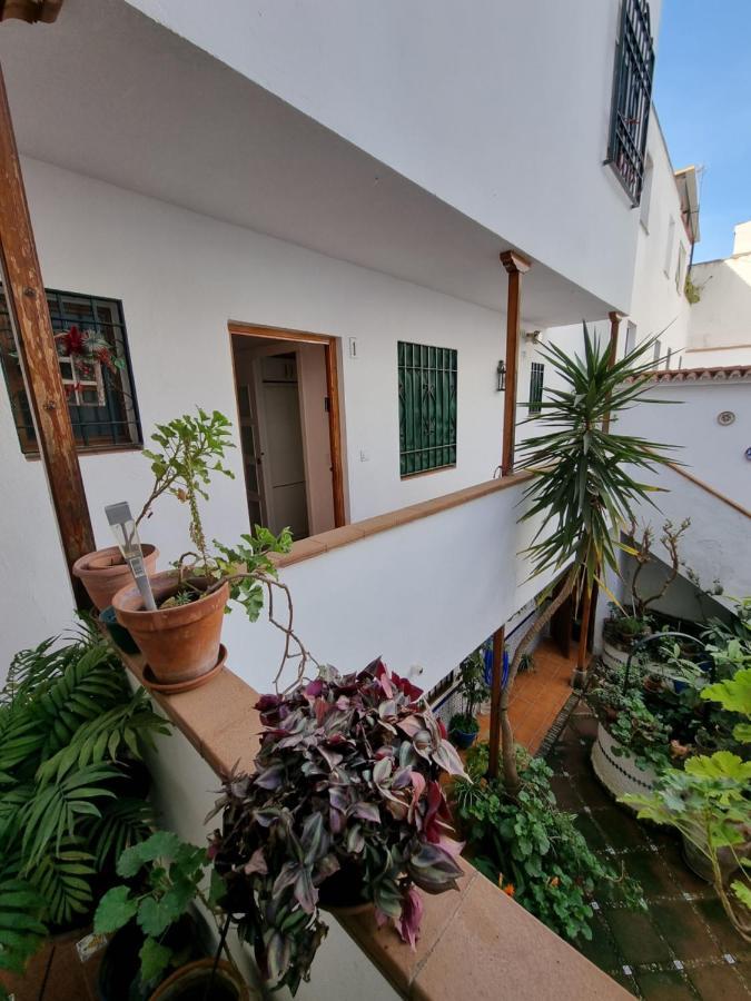 Apartamento Entre Patios San Basilio Lägenhet Córdoba Exteriör bild